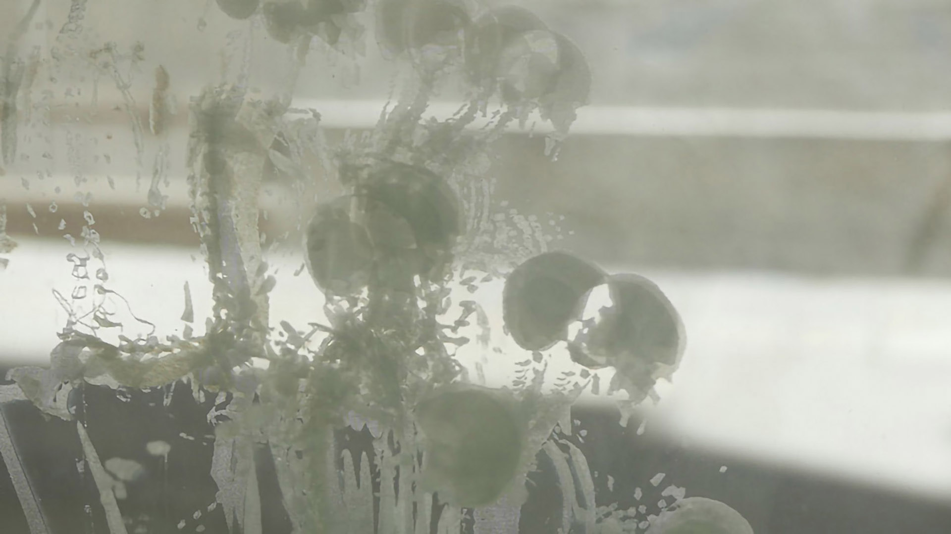 Vanity Fair V6 Motion capture and laser engraving on glass Château de Jehay (B), ”Arts & métaux – trilogie contemporaine” 2016 008